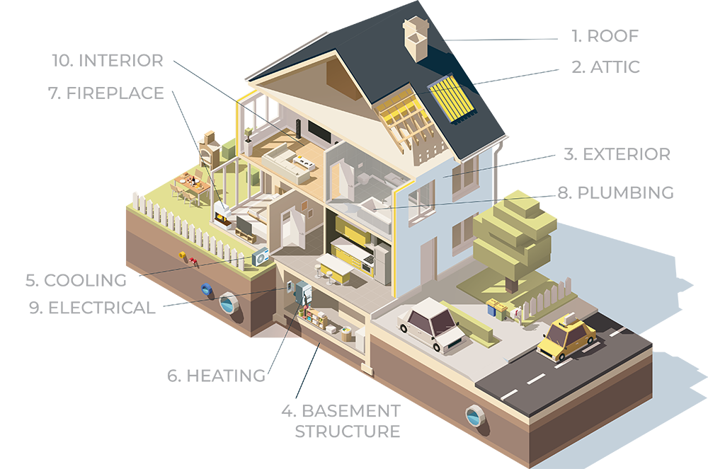 Infographic depicting what to expect from a home inspection
